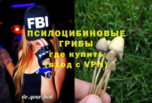 PSILOCYBIN Алзамай