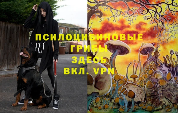 дурь Алексеевка