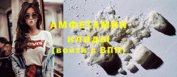 PSILOCYBIN Алзамай